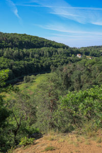Pohled na zalesněné svahy nad Berounkou. V popředí viditelný prudký svah směřující dolu. V pozadí zasahuje zástavba Bukovce.