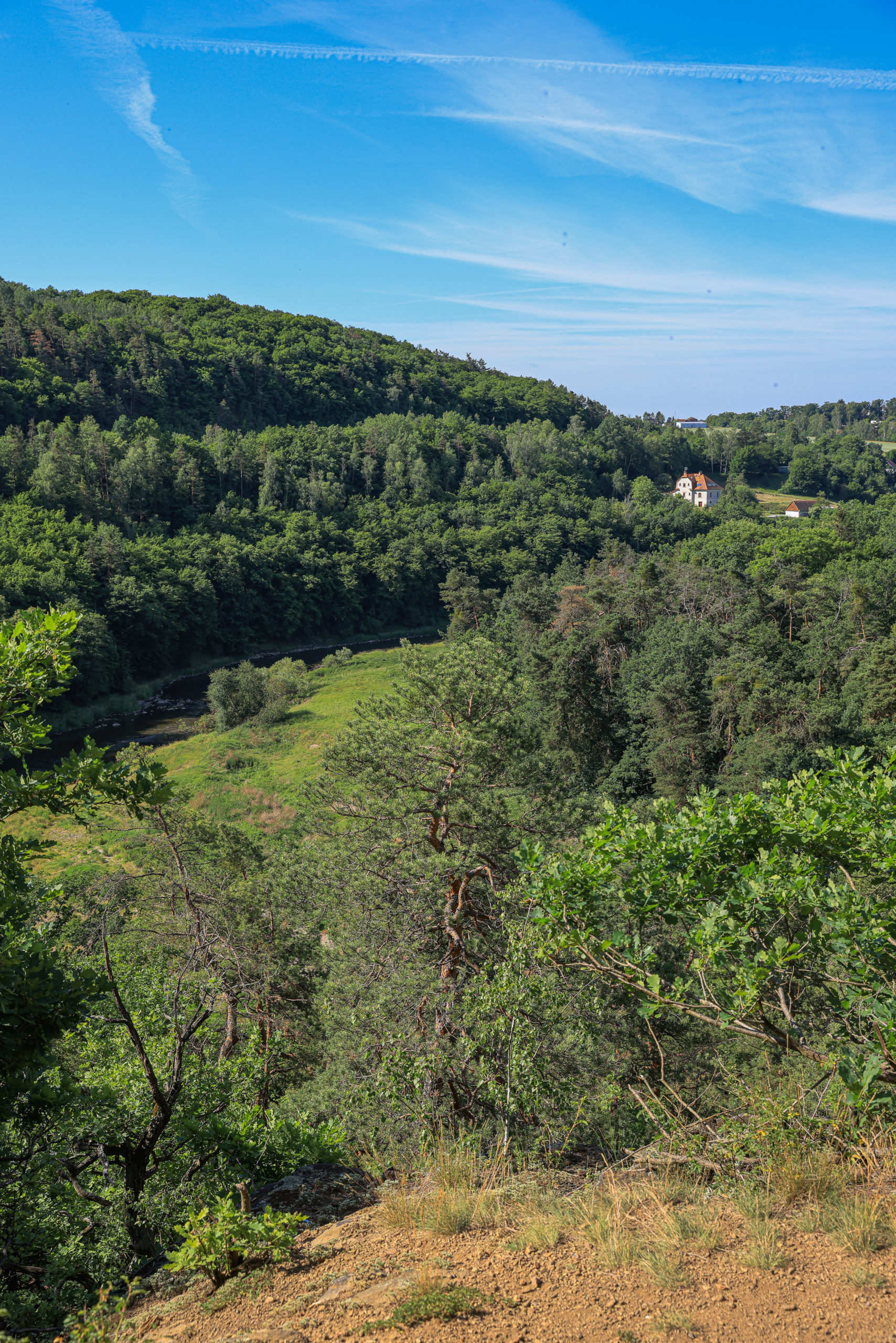 <h1>Zábělá – pohled z vyhlídky Kozí Bouda</h1><br />
Pohled na zalesněné svahy nad Berounkou. V popředí viditelný prudký svah směřující dolu. V pozadí zasahuje zástavba Bukovce.