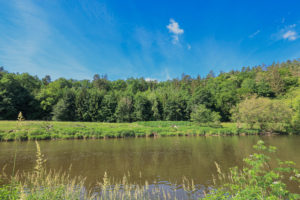 Pohled přes Berounku, jejíž koryto tvoří spodní část snímku. Na druhém břehu viditelná louka a navazující les.