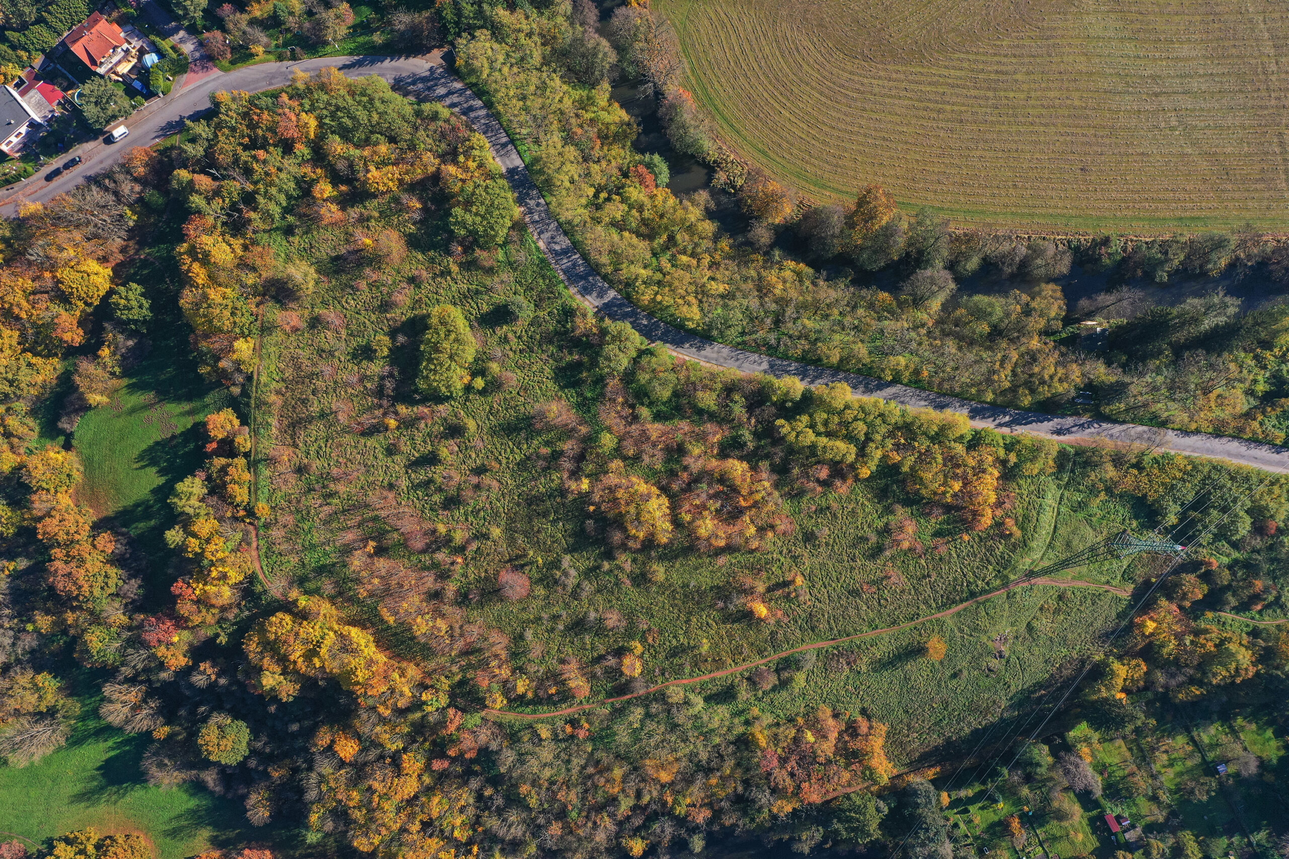 <h1>Hradiště z ptačí perspektivy</h1><br />
Horní třetinou obrázku se vine silnice, po úbočí lokality Hradiště. Na snímku vidíme travnaté plochy postupně zarůstající křovinami a stromy. Snímek byl pořízen na podzim a stromy se přebarvují ze zelené do oranžových a červených tónů.
