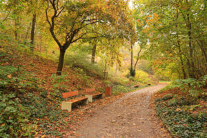 Lobezský park