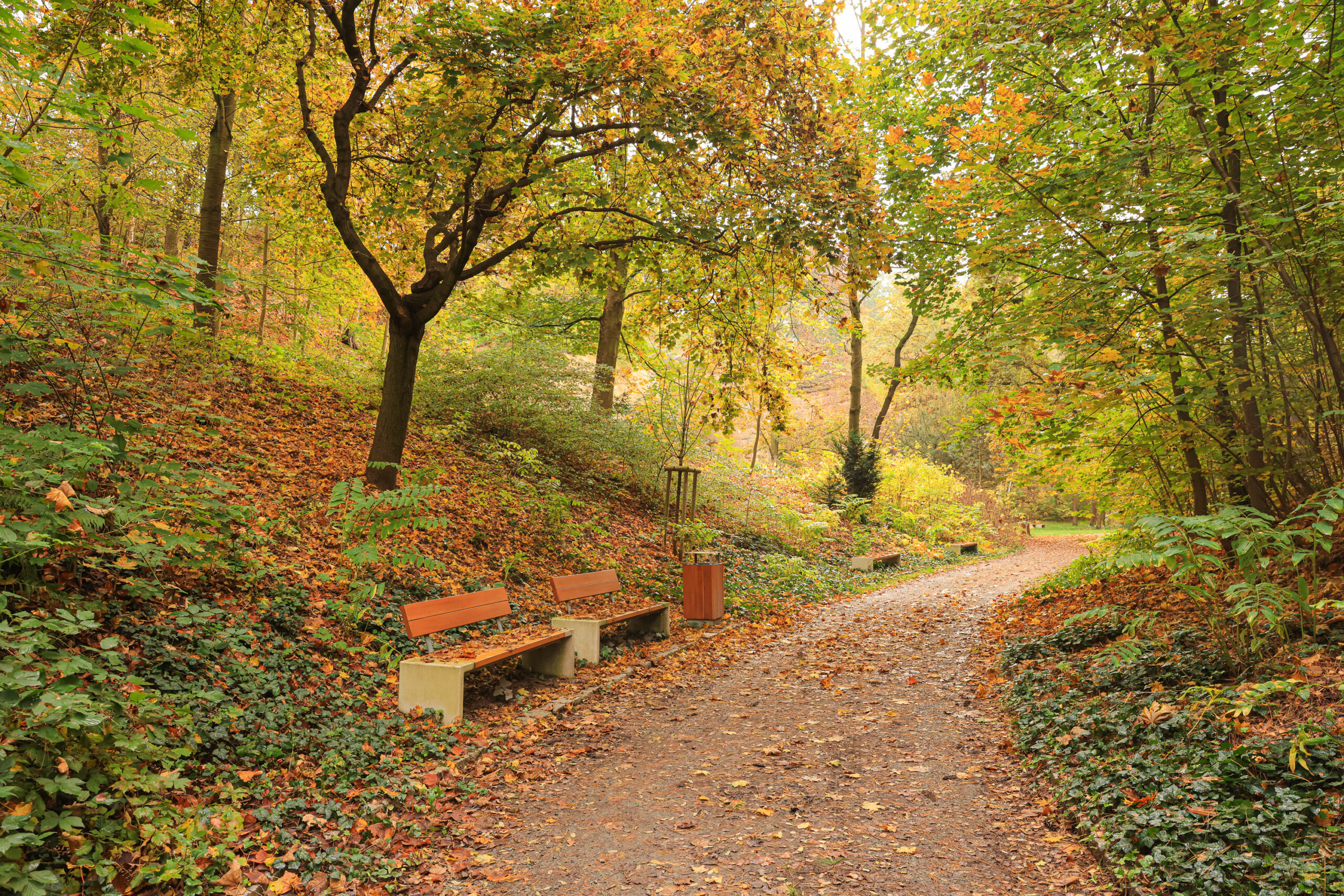 <h1>Lobezský park</h1><br />Od spodní střední části směrem do středu snímku prochází cesta lemovaná po levé části lavičkami. Po obou stranách na cestu navazuje porost stromů v podzimních odstínech. 