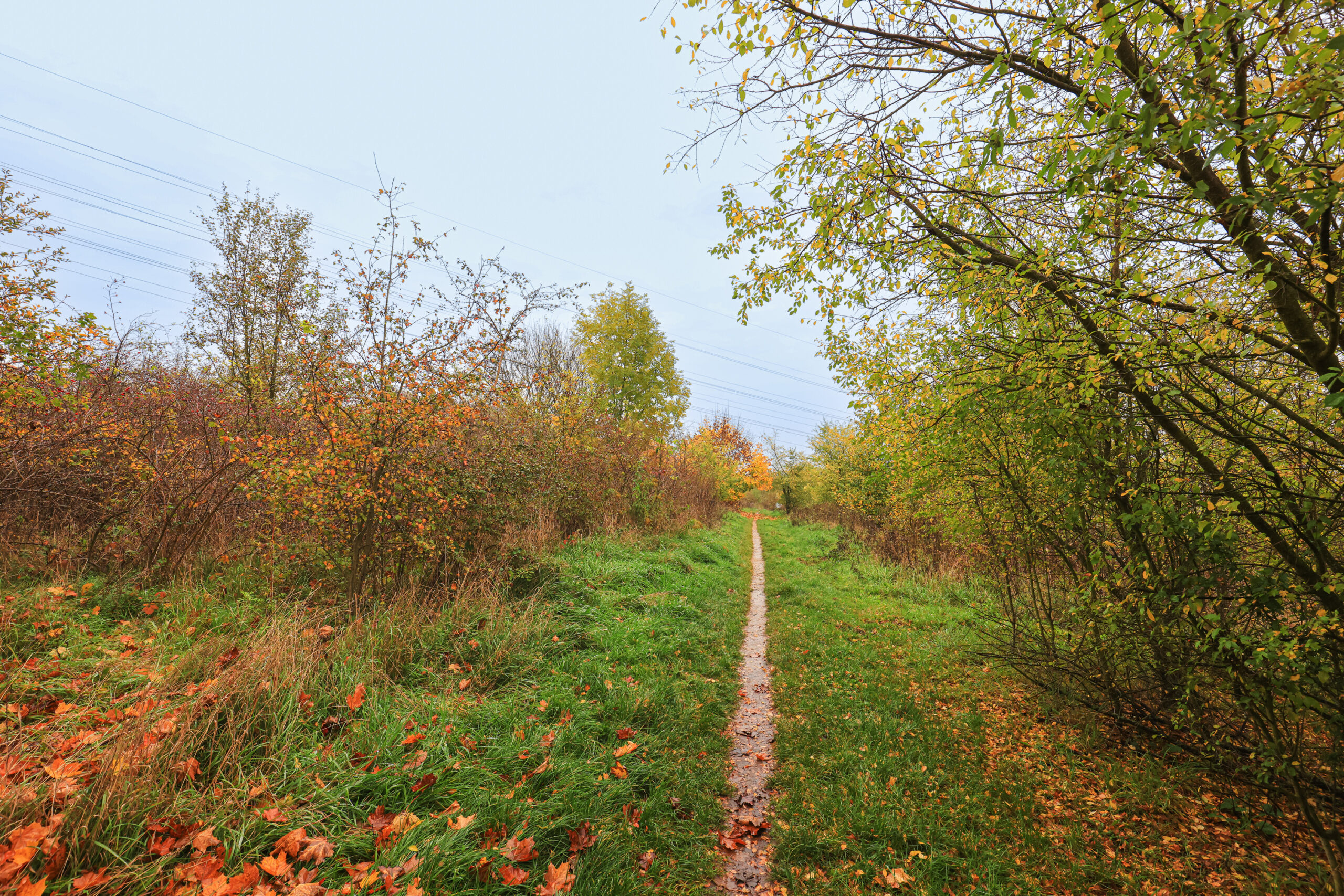<h1>Vrch Mikulka</h1><br />
Středem snímku směrem na pozadí prochází přímá úzká pěšina, kterou po obou stranách lemuje trávník a dále od cesty nízké porosty náletových dřevin. Podzimní výjev.
