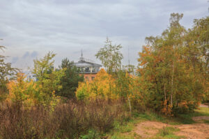 V popředí rozvolněný porost náletových dřevin v podzimních barvách, za ním je nalevo od středu snímku viditelná okrouhlá, nízká věž meteorologické stanice. Pozadí tvoří zatažené nebe.