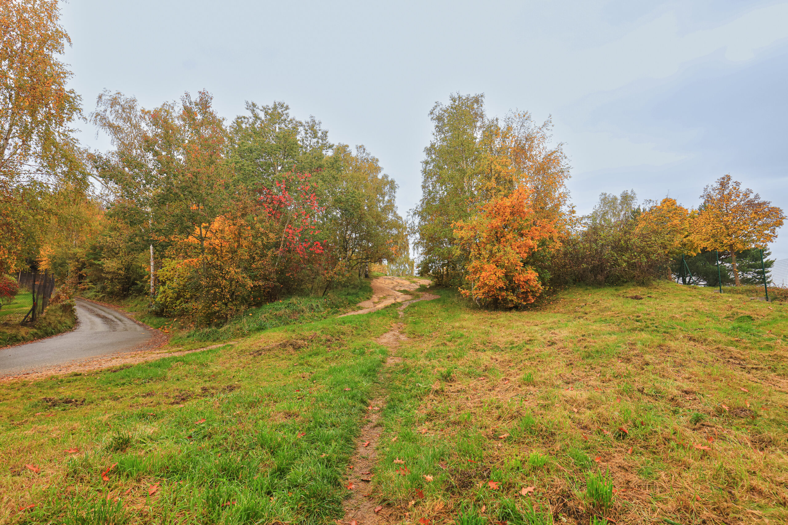 Nízké návrší s dřevinami v podzimních barvách, v popředí travnatý porost s pěšinou směřující do středu snímku (na vrch), levou částí prochází úzká místní komunikace a nezpevněná cesta.