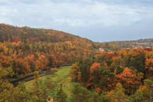 Po obou stranách prochází zalesněné svahy lemující břehy Berounky. V pozadí vpravo zástavba Bukovce. Podzimní scenérie, listnaté stromy v nejrůznějších barvách – odstíny zelené, žluté, červené, oranžové, hnědé.