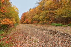 Od spodní pravé strany směrem k pozadí snímku prochází široký pás trasy bývalé železnice pokrytý kamenivem. Po stranách lemováno listnatými lesy v pestrých podzimních barvách.