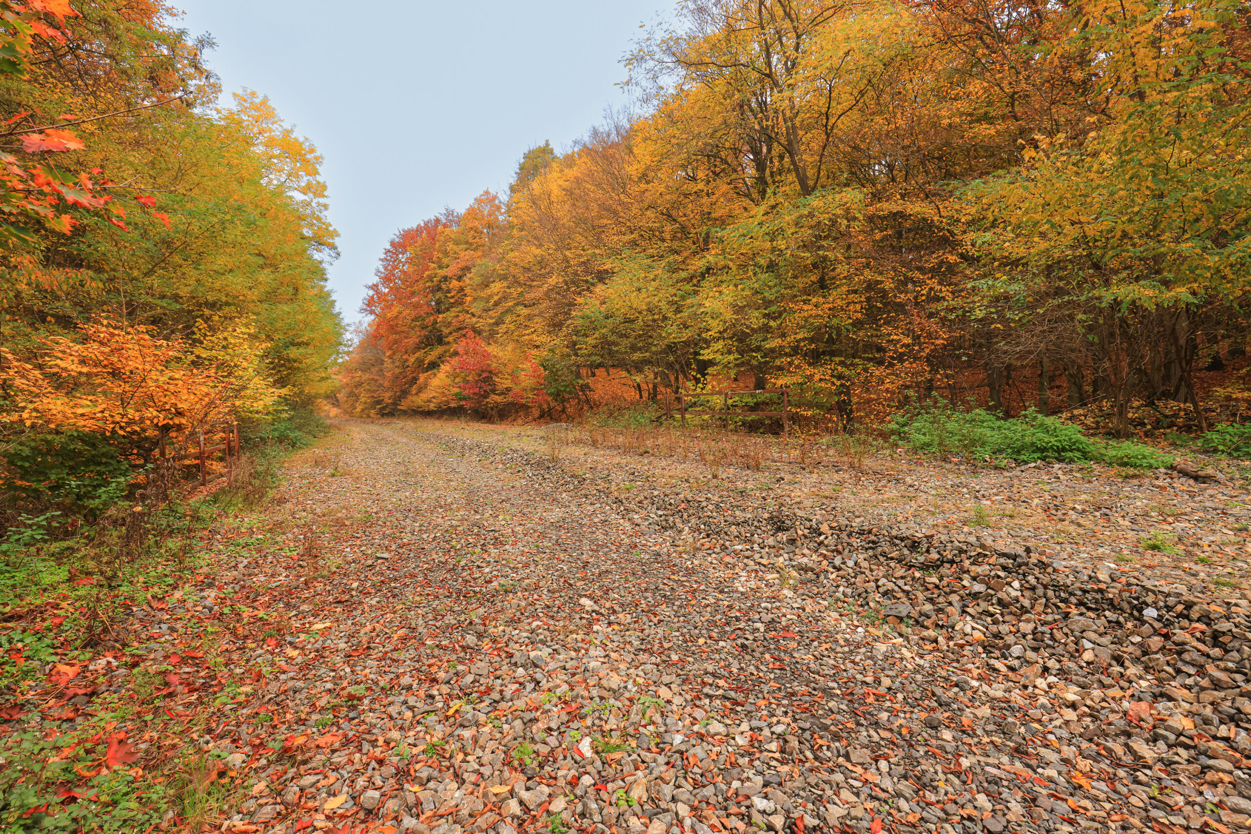 <h1>Zábělá – bývalá železniční trať</h1><br />
Od spodní pravé strany směrem k pozadí snímku prochází široký pás trasy bývalé železnice pokrytý kamenivem. Po stranách lemováno listnatými lesy v pestrých podzimních barvách.